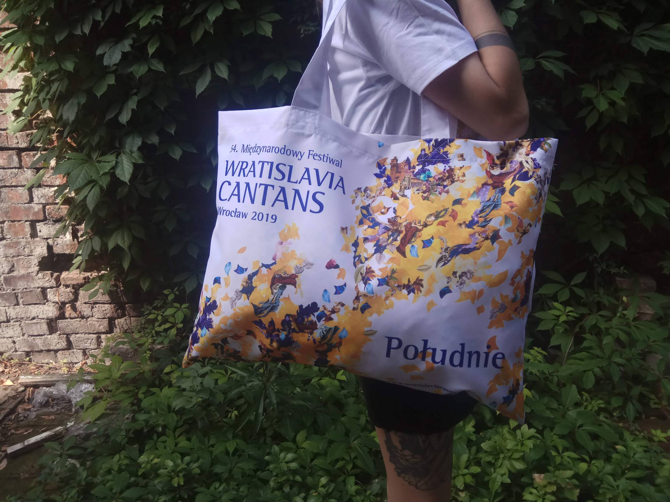 Wratislavia zbliżenie