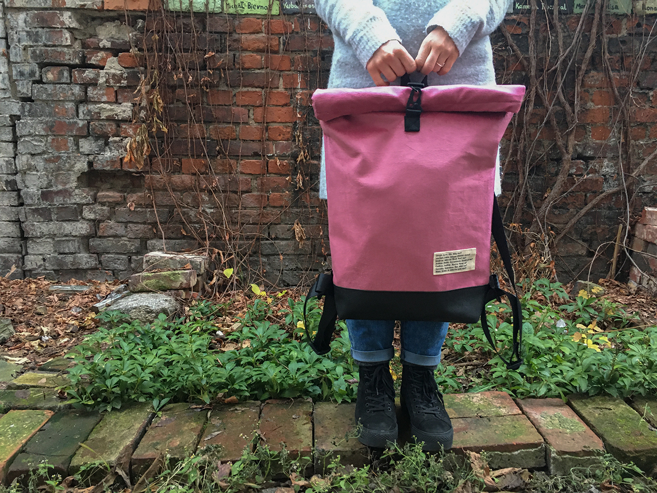 Różowy mieszczuch zbliżenie