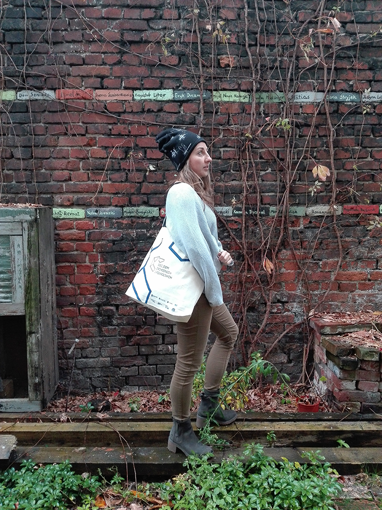 Sieć Ziem Zachodnich i Północnych - zdjęcie na modelce